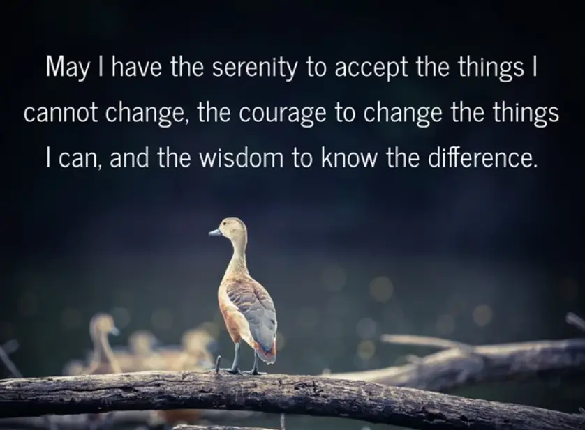 May I have the serenity to accept the things I cannot change, the courage to change the things I can, and the wisdom to know the difference.
