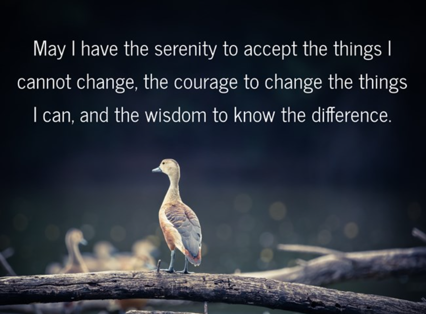 May I have the serenity to accept the things I cannot change, the courage to change the things I can, and the wisdom to know the difference.
