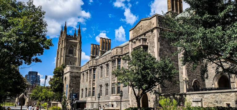 Screenshot 2025 12 01 175300 768x358